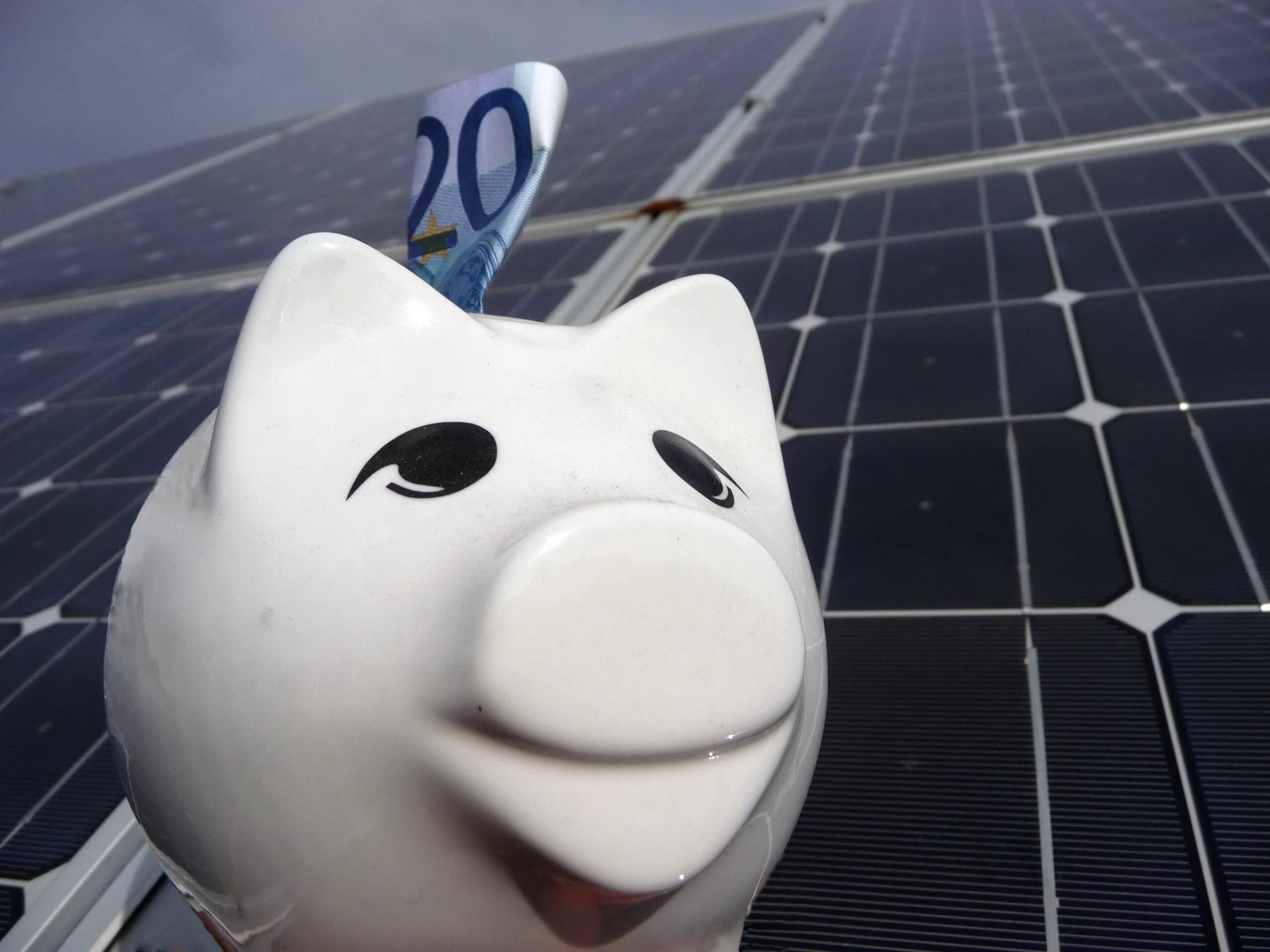 Individueller Service der Photovoltaik Reinigung