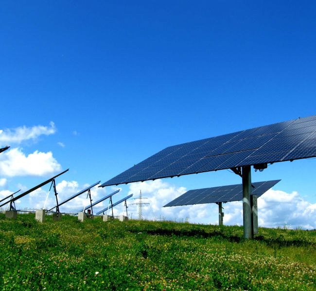 Professionelle Reinigung der Photovoltaik