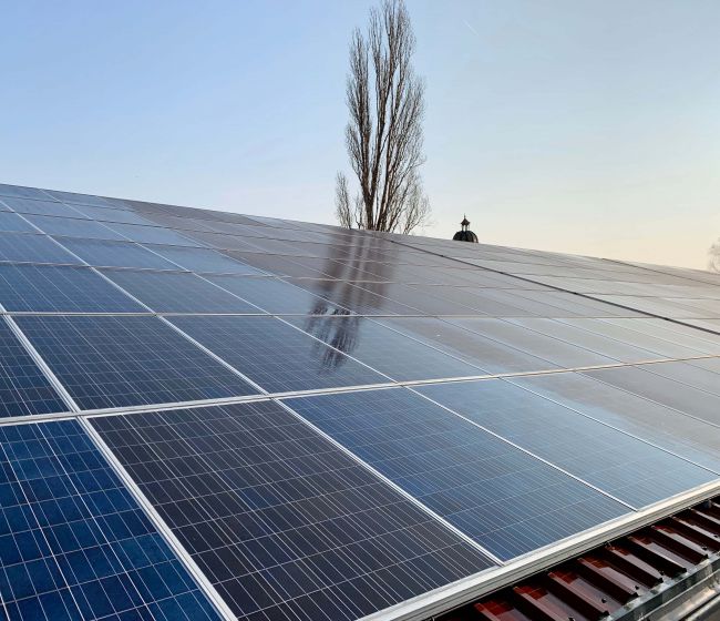 Service für Firmen: Photovoltaik Reinigung